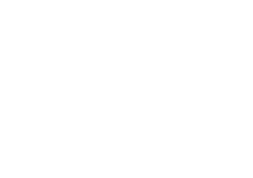 BIAS Head input controls