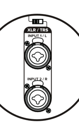 XLR/TRS Combo Input 1/L on Spark CAB 2