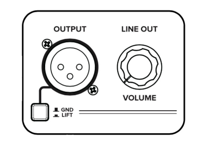 XLR Output and Line Out on Spark CAB 2 rear panel